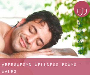 Abergwesyn wellness (Powys, Wales)