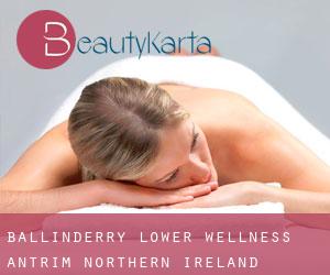 Ballinderry Lower wellness (Antrim, Northern Ireland)