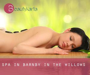Spa in Barnby in the Willows