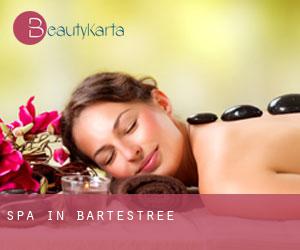 Spa in Bartestree