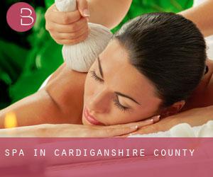 Spa in Cardiganshire County