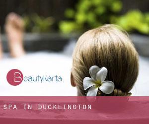 Spa in Ducklington