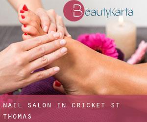 Nail Salon in Cricket St Thomas