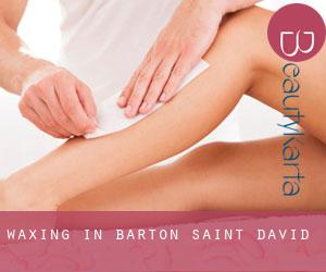 Waxing in Barton Saint David