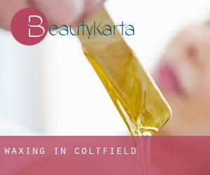 Waxing in Coltfield