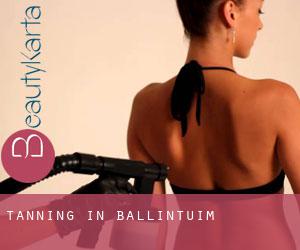 Tanning in Ballintuim