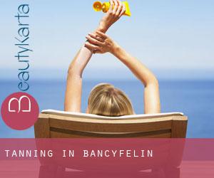 Tanning in Bancyfelin