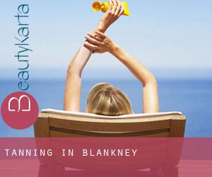 Tanning in Blankney