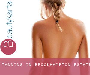 Tanning in Brockhampton Estate