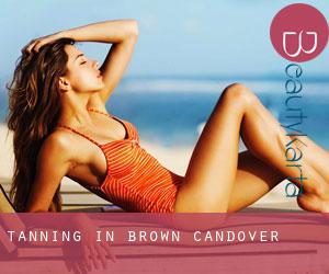 Tanning in Brown Candover