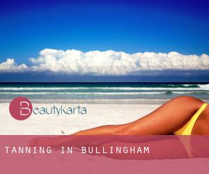 Tanning in Bullingham Tanning in Bullingham