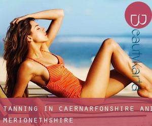 Tanning in Caernarfonshire and Merionethshire