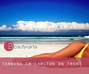 Tanning in Carlton on Trent Tanning in Carlton on Trent