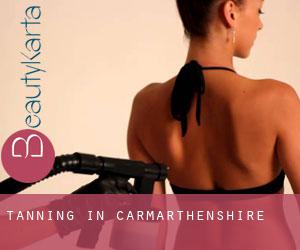 Tanning in Carmarthenshire