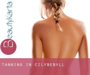 Tanning in Cilybebyll