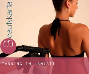 Tanning in Lamyatt