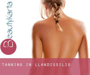 Tanning in Llandissilio