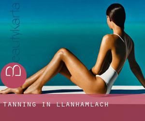 Tanning in Llanhamlach