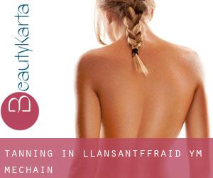 Tanning in Llansantffraid-ym-Mechain