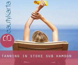 Tanning in Stoke-sub-Hamdon