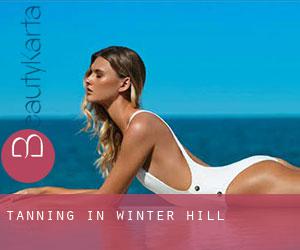 Tanning in Winter Hill