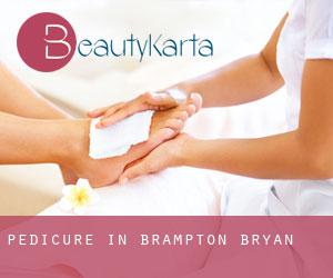 Pedicure in Brampton Bryan