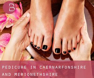 Pedicure in Caernarfonshire and Merionethshire