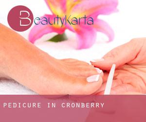 Pedicure in Cronberry