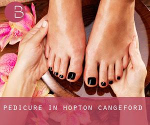 Pedicure in Hopton Cangeford