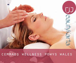 Cemmaes wellness (Powys, Wales)