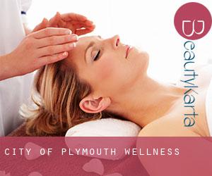 City of Plymouth wellness
