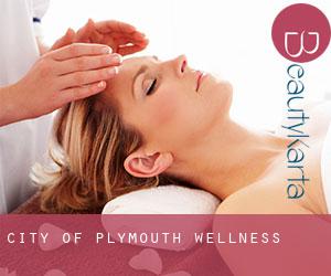 City of Plymouth wellness City of Plymouth wellness