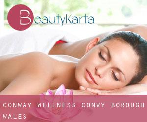 Conway wellness (Conwy (Borough), Wales)
