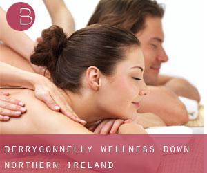 Derrygonnelly wellness (Down, Northern Ireland)