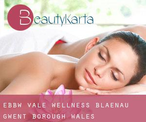 Ebbw Vale wellness (Blaenau Gwent (Borough), Wales)