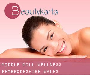 Middle Mill wellness (Pembrokeshire, Wales)