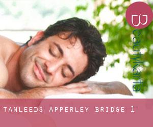 TanLeeds (Apperley Bridge) #1